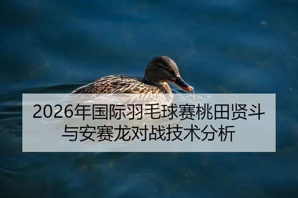 2026年国际羽毛球赛桃田贤斗与安赛龙对战技术分析（6686.com）