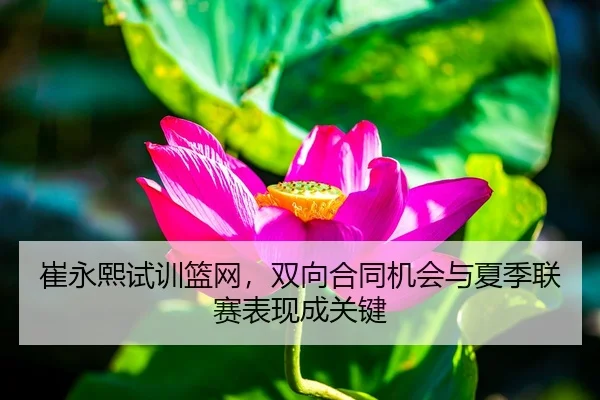 崔永熙试训篮网，双向合同机会与夏季联赛表现成关键